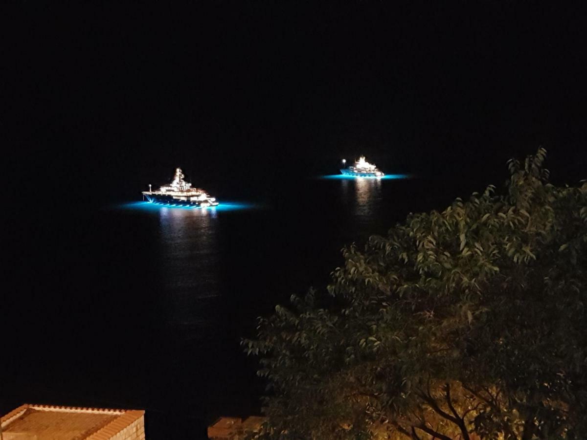 Villa Palmera Dubrovnik Kültér fotó