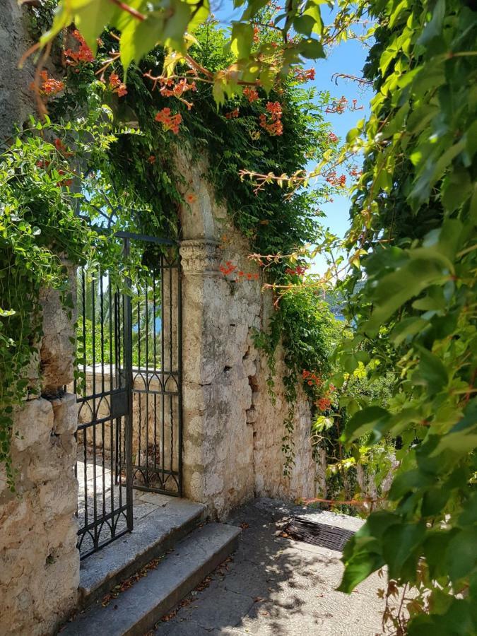 Villa Palmera Dubrovnik Kültér fotó