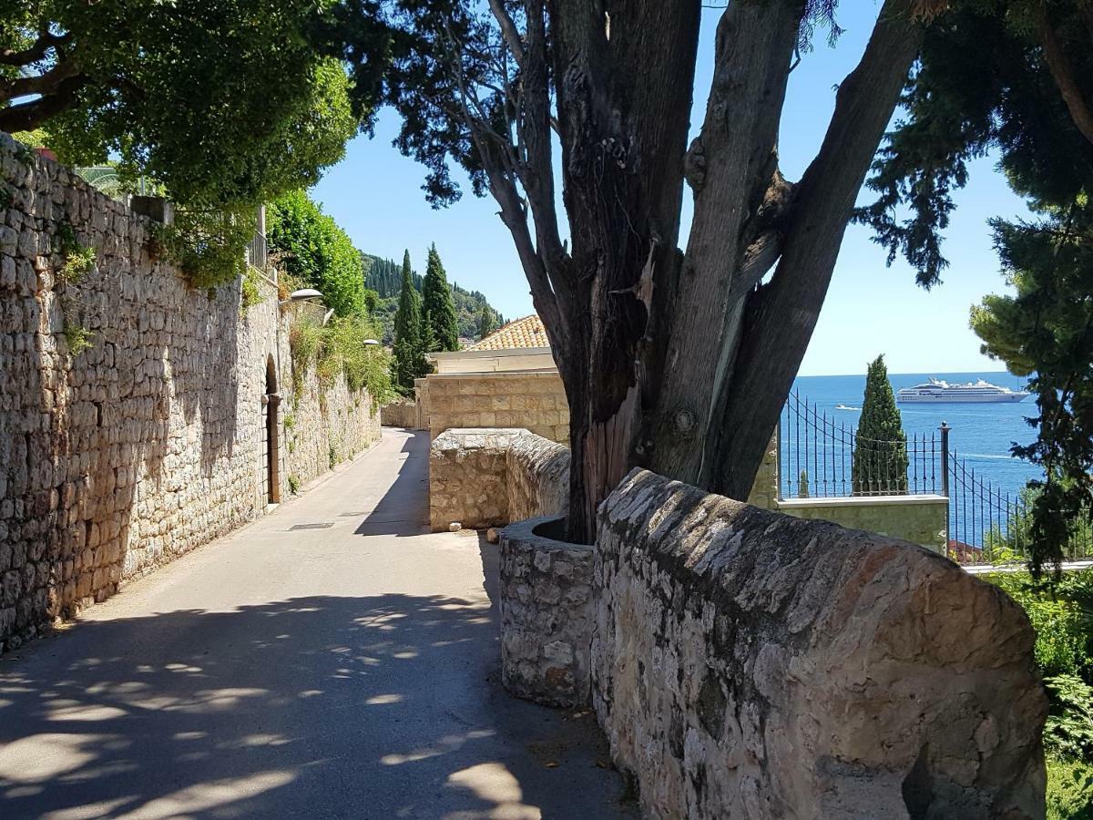 Villa Palmera Dubrovnik Kültér fotó