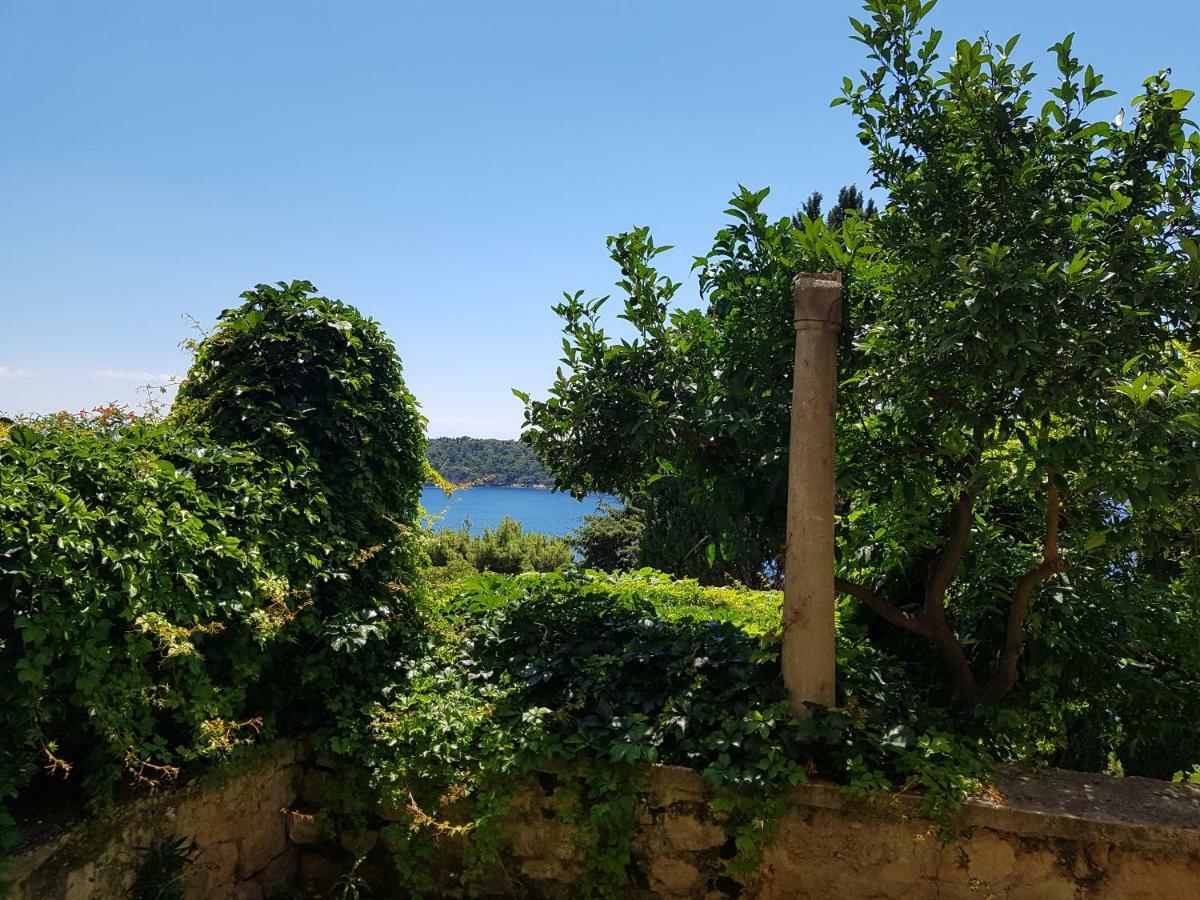 Villa Palmera Dubrovnik Kültér fotó